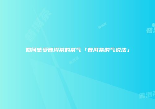如何感受普洱茶的茶气「普洱茶的气说法」