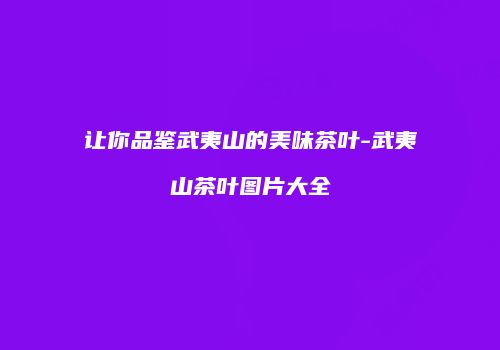 让你品鉴武夷山的美味茶叶-武夷山茶叶图片大全