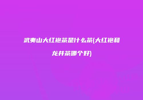 武夷山大红袍茶是什么茶(大红袍和龙井茶哪个好)