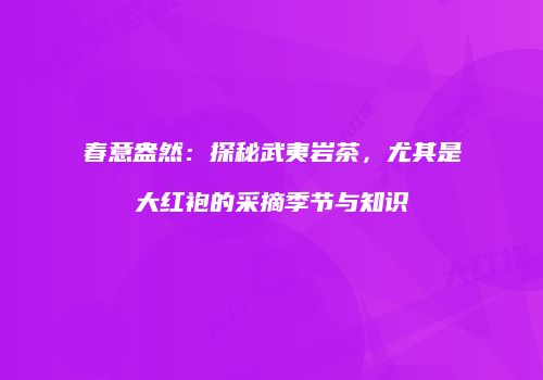 春意盎然：探秘武夷岩茶，尤其是大红袍的采摘季节与知识