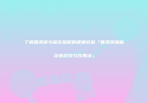 了解普洱茶与菊花搭配的健康价值「普洱茶加菊花的功效与作用点」