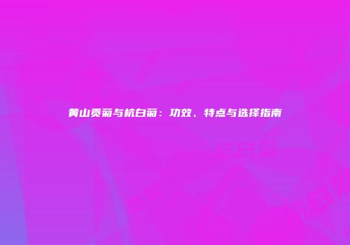 黄山贡菊与杭白菊：功效、特点与选择指南