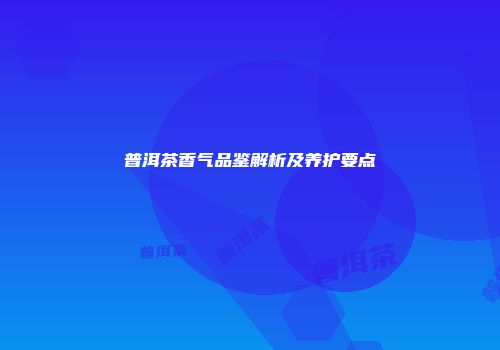 普洱茶香气品鉴解析及养护要点