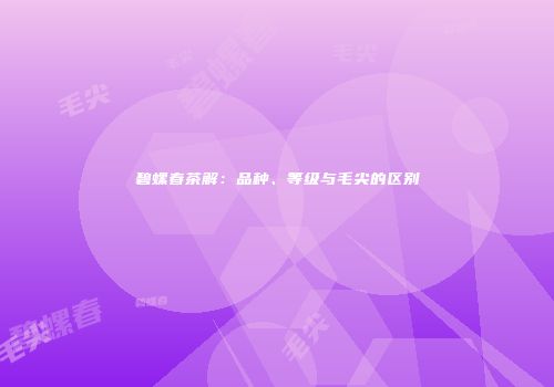 碧螺春茶解：品种、等级与毛尖的区别