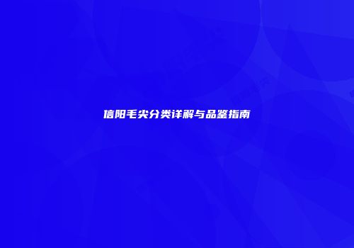 信阳毛尖分类详解与品鉴指南