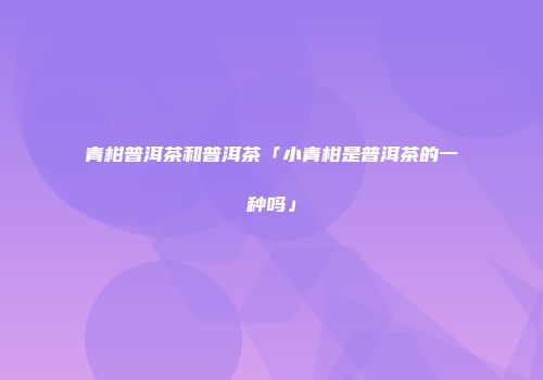 青柑普洱茶和普洱茶「小青柑是普洱茶的一种吗」