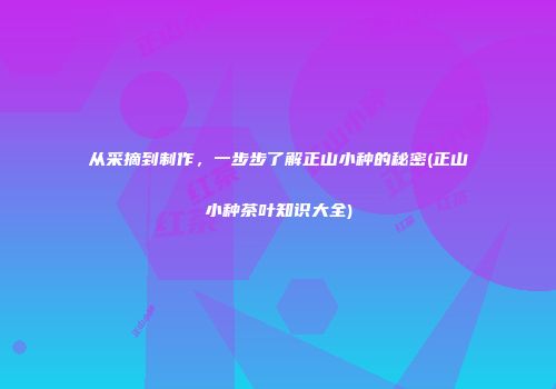从采摘到制作，一步步了解正山小种的秘密(正山小种茶叶知识大全)