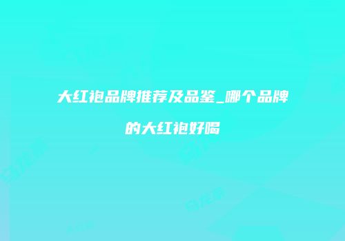 大红袍品牌推荐及品鉴_哪个品牌的大红袍好喝