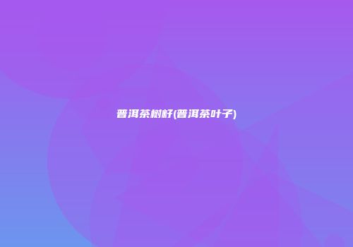 普洱茶树籽(普洱茶叶子)