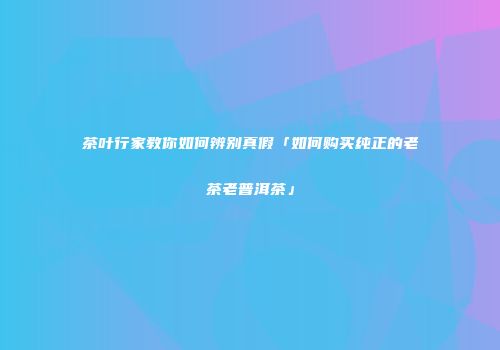 茶叶行家教你如何辨别真假「如何购买纯正的老茶老普洱茶」