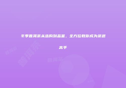 冬季普洱茶从选购到品鉴，全方位教你成为茶道高手