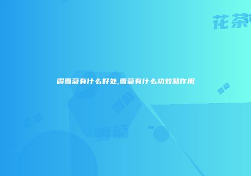 喝雪菊有什么好处,雪菊有什么功效和作用