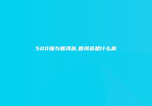 500强与普洱茶,普洱茶是什么茶