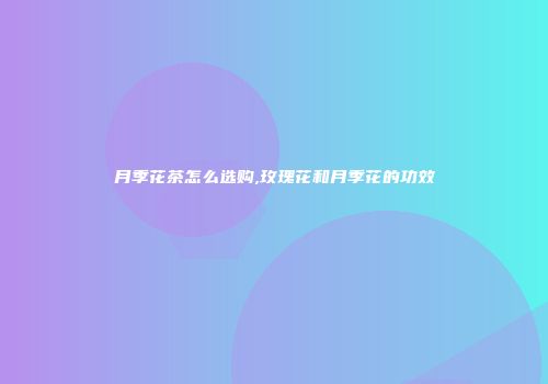 月季花茶怎么选购,玫瑰花和月季花的功效
