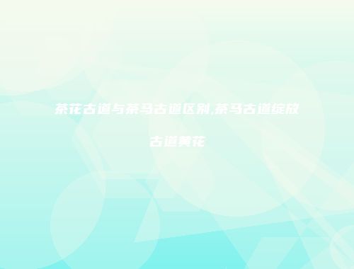 茶花古道与茶马古道区别,茶马古道绽放古道黄花