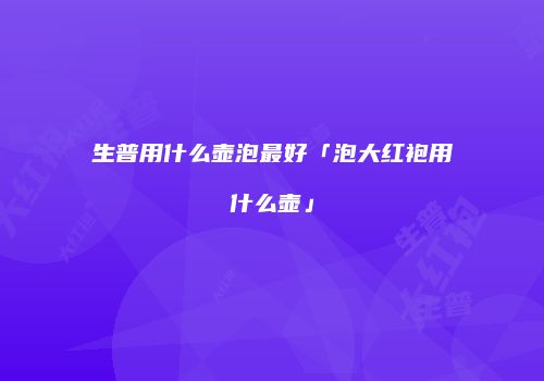 生普用什么壶泡最好「泡大红袍用什么壶」