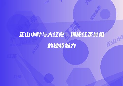 正山小种与大红袍：揭秘红茶鼻祖的独特魅力