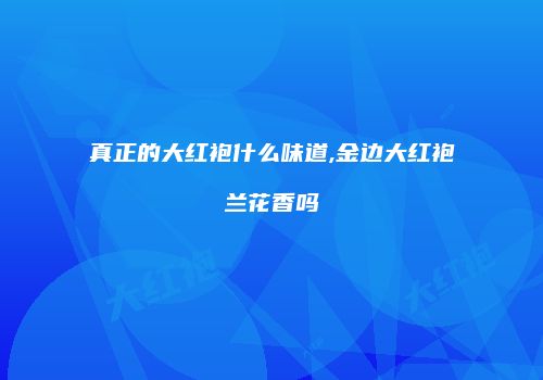 真正的大红袍什么味道,金边大红袍兰花香吗
