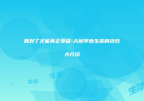 喝对了才能真正受益-古树早春生茶的功效大介绍