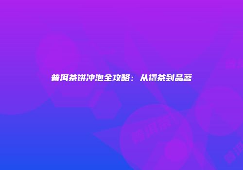 普洱茶饼冲泡全攻略：从撬茶到品茗