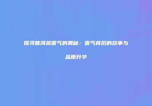 探寻普洱茶香气的奥秘：香气背后的故事与品质升华