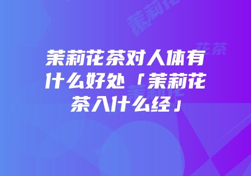 茉莉花茶对人体有什么好处「茉莉花茶入什么经」