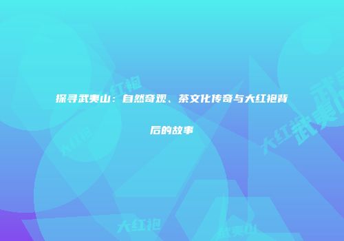 探寻武夷山：自然奇观、茶文化传奇与大红袍背后的故事