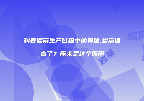 科普岩茶生产过程中的奥秘,岩茶返青了？原来是这个原因