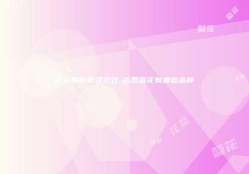 菊花的种类及功效-药用菊花有哪些品种