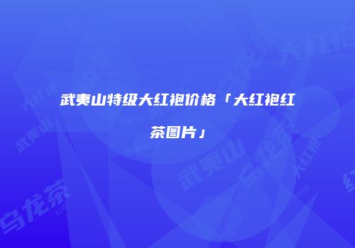 武夷山特级大红袍价格「大红袍红茶图片」