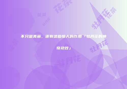 不只是美丽，还有这些惊人的作用「牡丹花的神奇功效」
