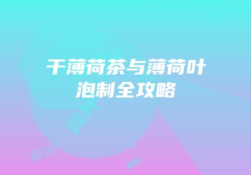 干薄荷茶与薄荷叶泡制全攻略