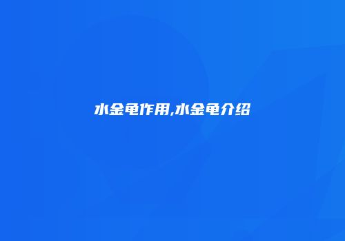 水金龟作用,水金龟介绍