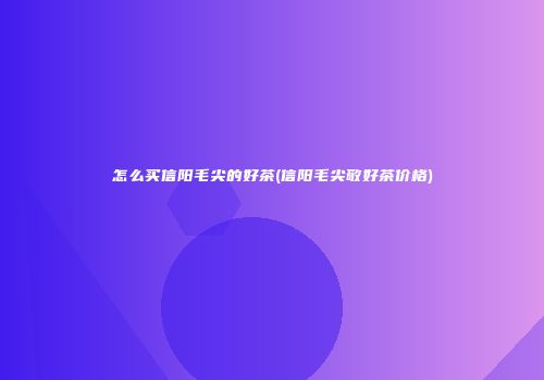 怎么买信阳毛尖的好茶(信阳毛尖敬好茶价格)