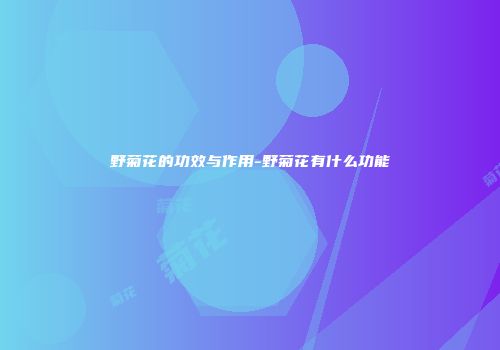 野菊花的功效与作用-野菊花有什么功能