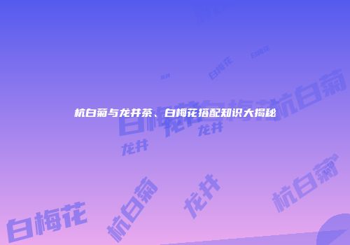 杭白菊与龙井茶、白梅花搭配知识大揭秘