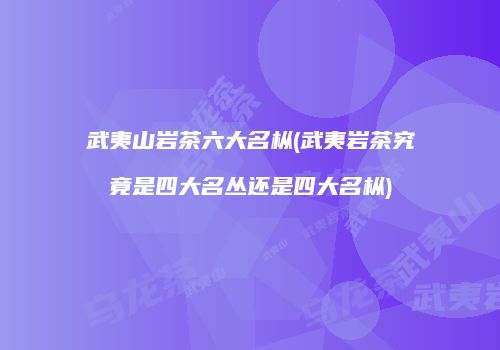 武夷山岩茶六大名枞(武夷岩茶究竟是四大名丛还是四大名枞)