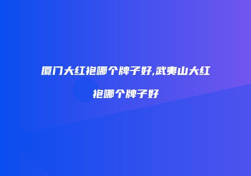 厦门大红袍哪个牌子好,武夷山大红袍哪个牌子好