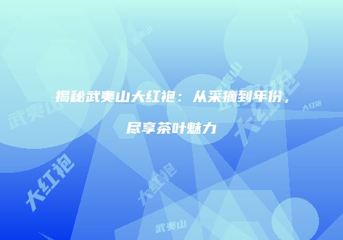 揭秘武夷山大红袍：从采摘到年份，尽享茶叶魅力