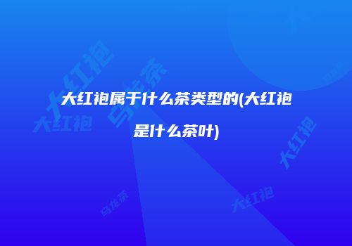 大红袍属于什么茶类型的(大红袍是什么茶叶)