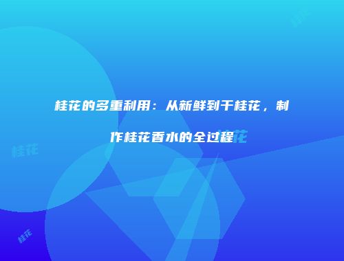 桂花的多重利用：从新鲜到干桂花，制作桂花香水的全过程