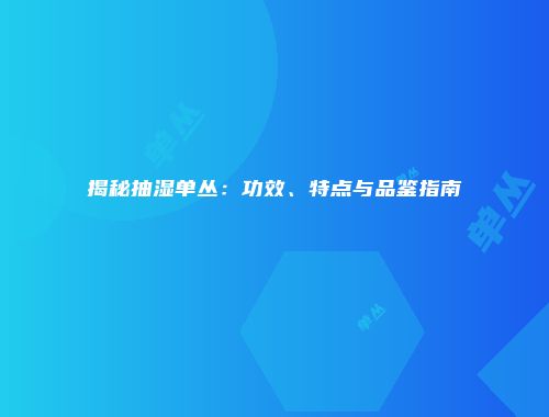 揭秘抽湿单丛：功效、特点与品鉴指南
