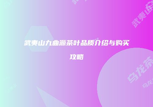 武夷山九曲源茶叶品质介绍与购买攻略
