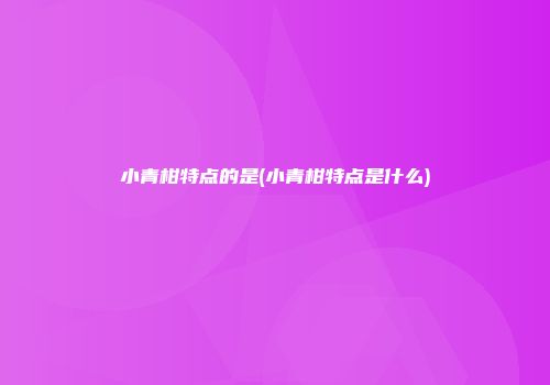 小青柑特点的是(小青柑特点是什么)