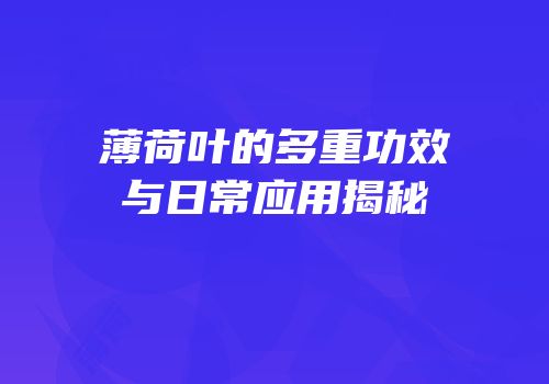 薄荷叶的多重功效与日常应用揭秘