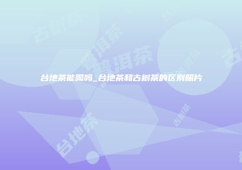 台地茶能喝吗_台地茶和古树茶的区别照片