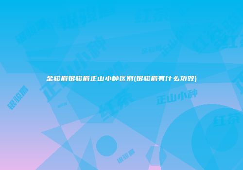 金骏眉银骏眉正山小种区别(银骏眉有什么功效)