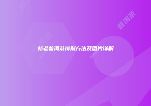 新老普洱茶辨别方法及图片详解