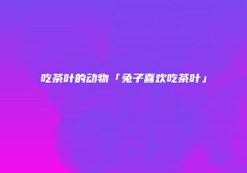 吃茶叶的动物「兔子喜欢吃茶叶」