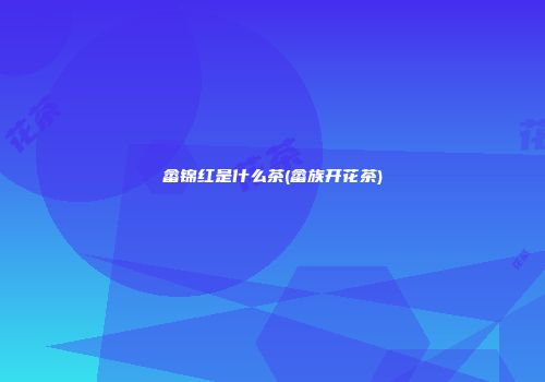 畲锦红是什么茶(畲族开花茶)